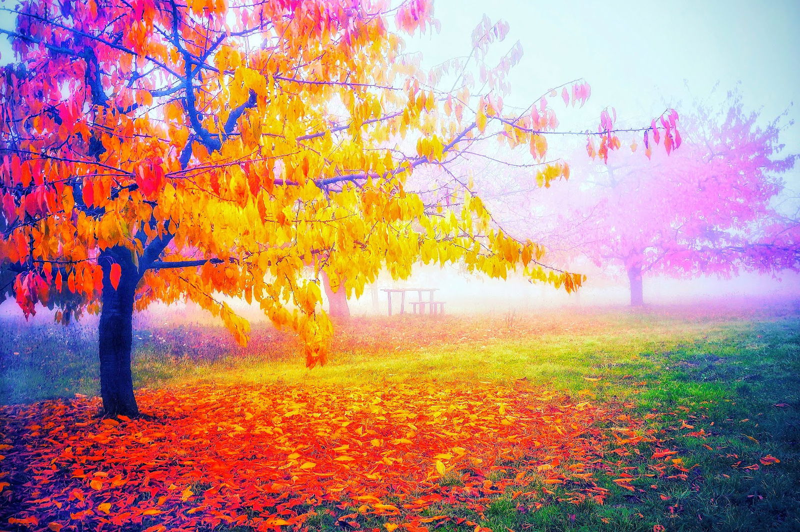 Lovska družina Čaven