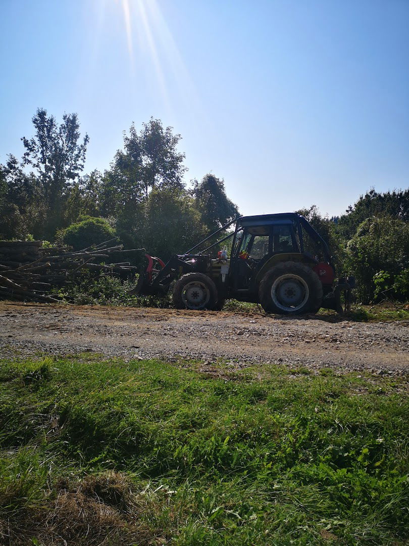 Posek in spravilo lesa, Jože Štajnrajh s.p.