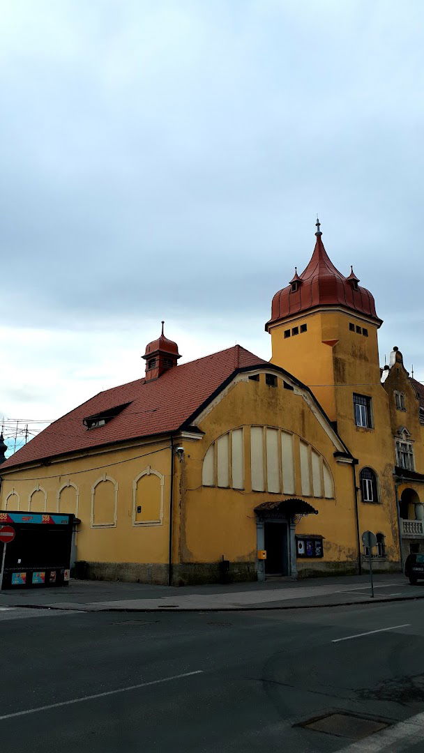 Kino Slovenska Bistrica