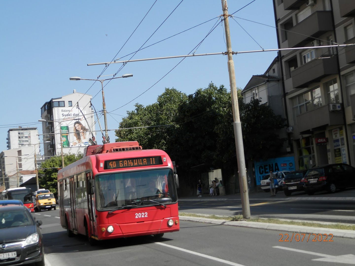 Živojina Žujovića