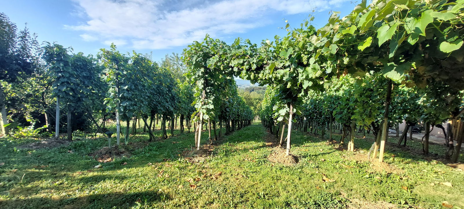 Kuća za odmor Mateja Varaždinske Toplice
