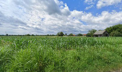 Petruševec I,odvojak VI