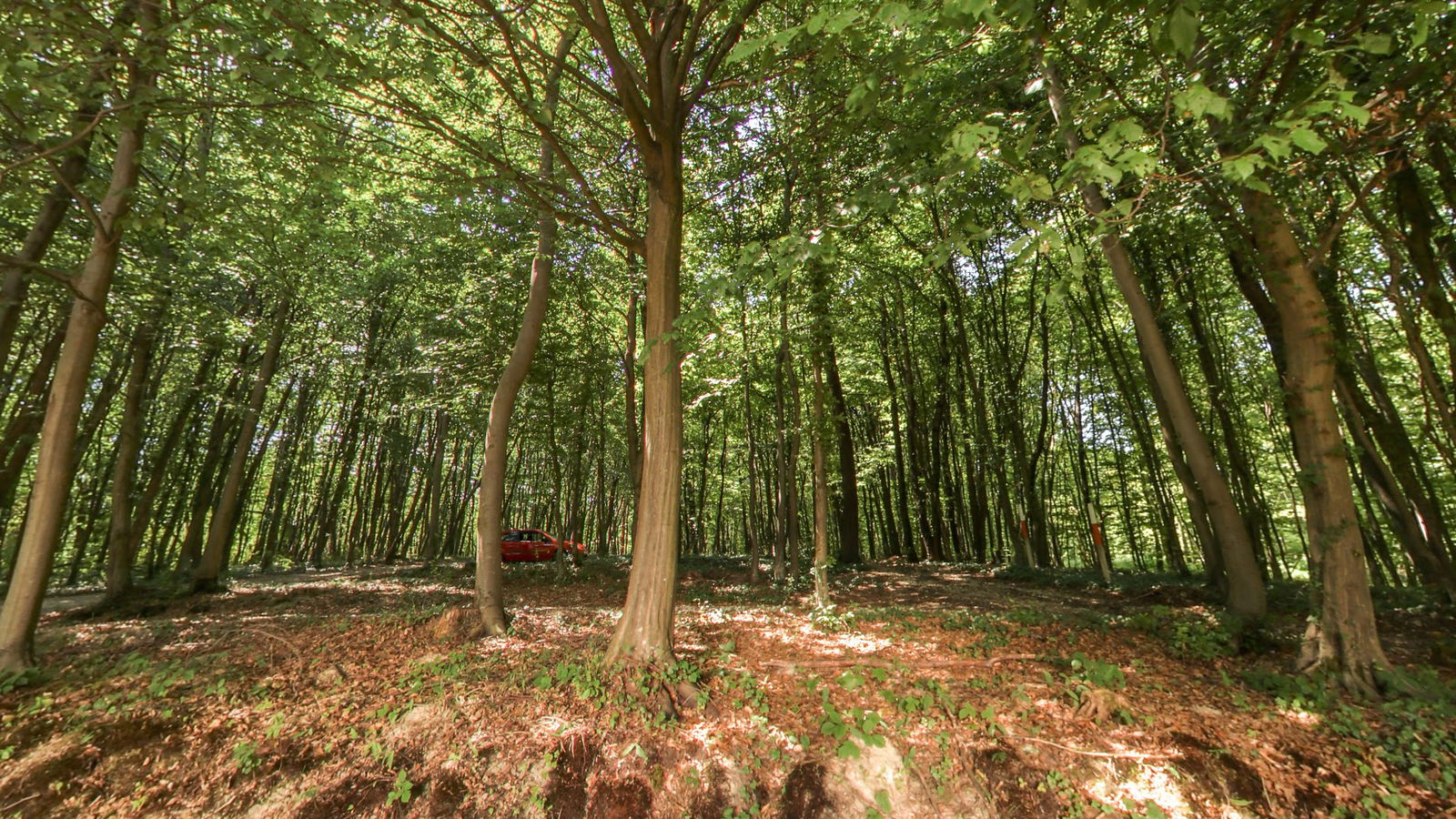 Lovački dom LD Fazan Konjščina, LJ Jertovec