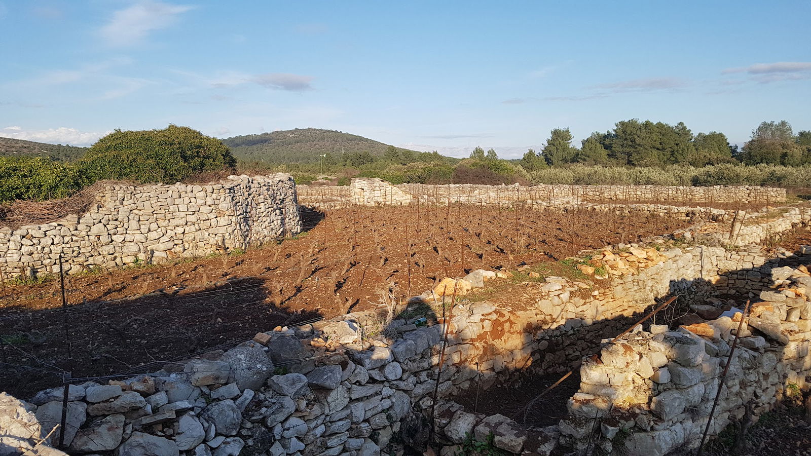 Carevac - Roman villa rustica