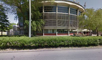 Džudo klub Novi Beograd