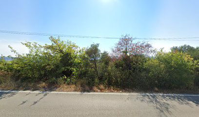 Kručica (2) cemetery