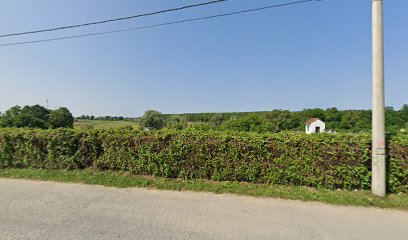 Veliki Grđevac cemetery