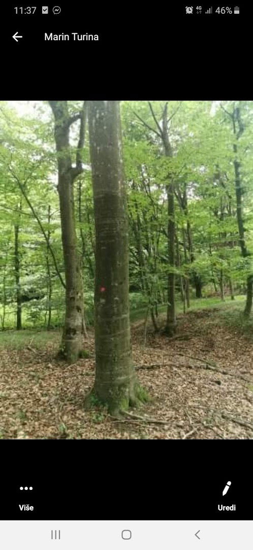 KRANJEC DRVO - OBRT ZA USLUGE U ŠUMARSTVU, PRIJEVOZ I TRGOVINU, VL. DANIJEL KRANJEC, ĐURMANEC