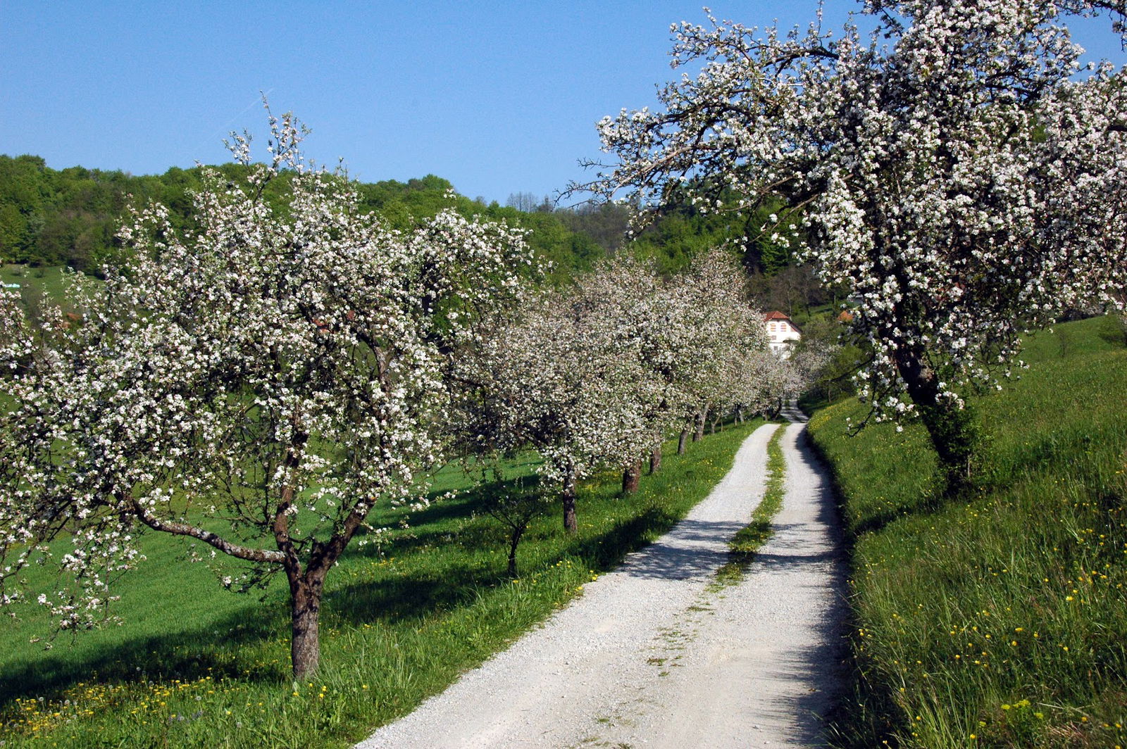 Kozjanski park / Kozjansko Regional Park