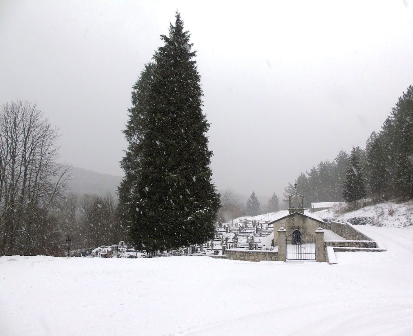 Cerkev sv. Kancijana