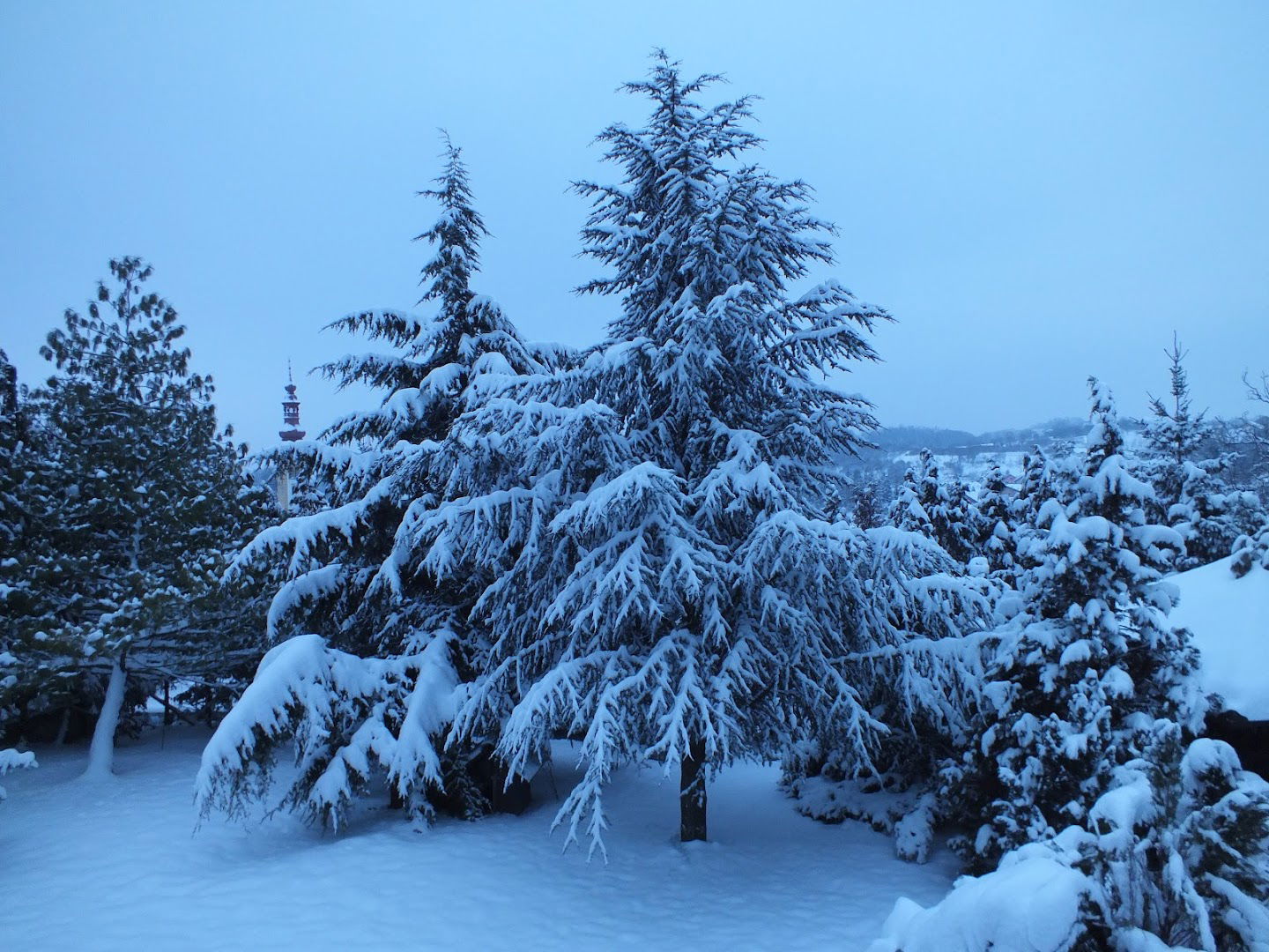 Eneko - Inženjering