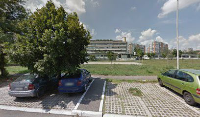 Nehruov Park - Basketball Court