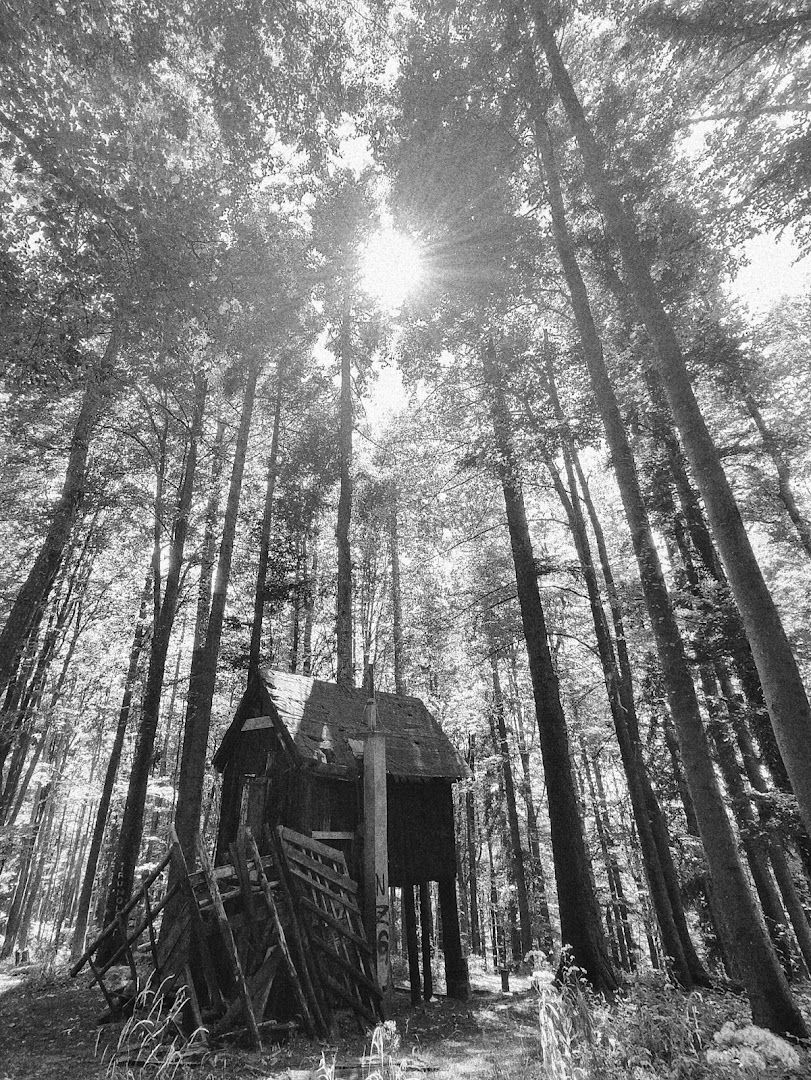 Koliba podno Puntijarke