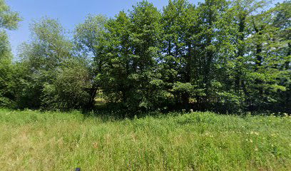 Ribčev ribnik pri Bistri