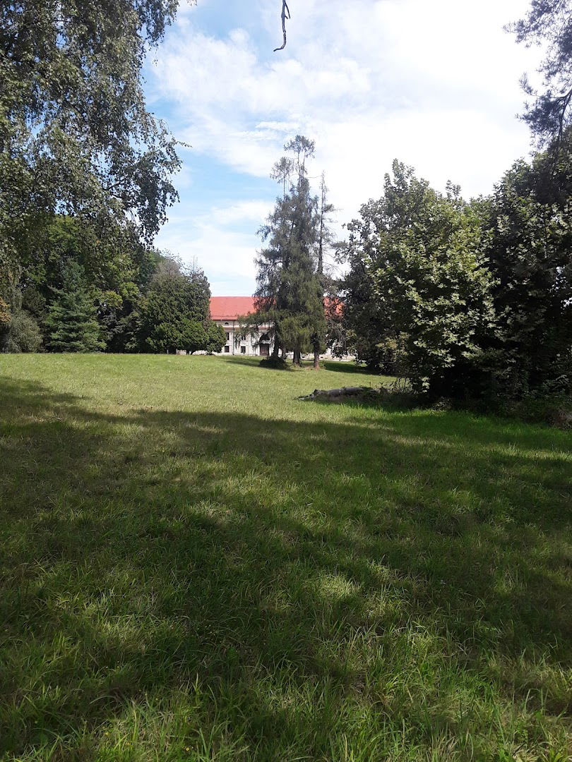 Center for Education Lug