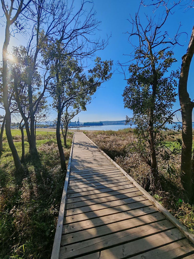 Slan sredozemski obmorski travnik