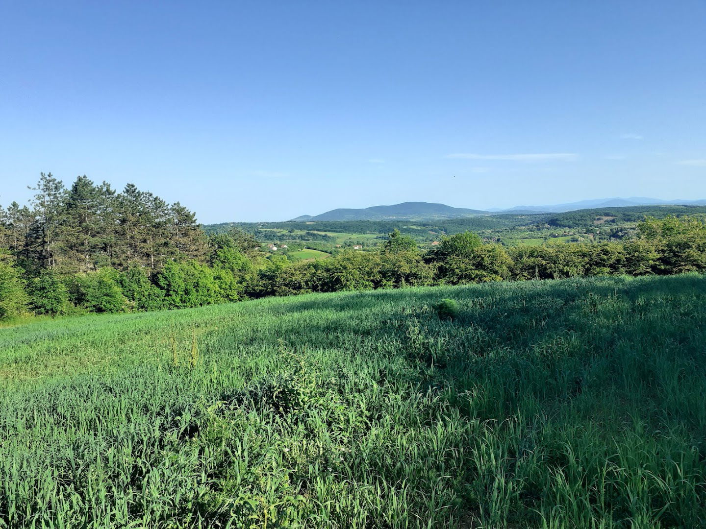 Okretnica Autobusa Parcani