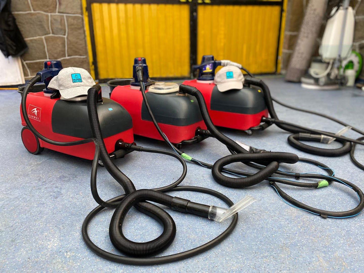 Tepih Servis Palikuća