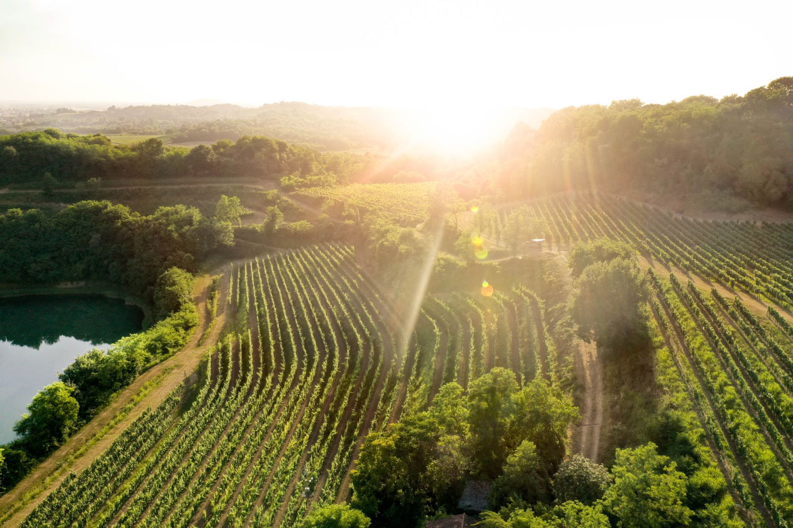 Attems-Marchesi Frescobaldi