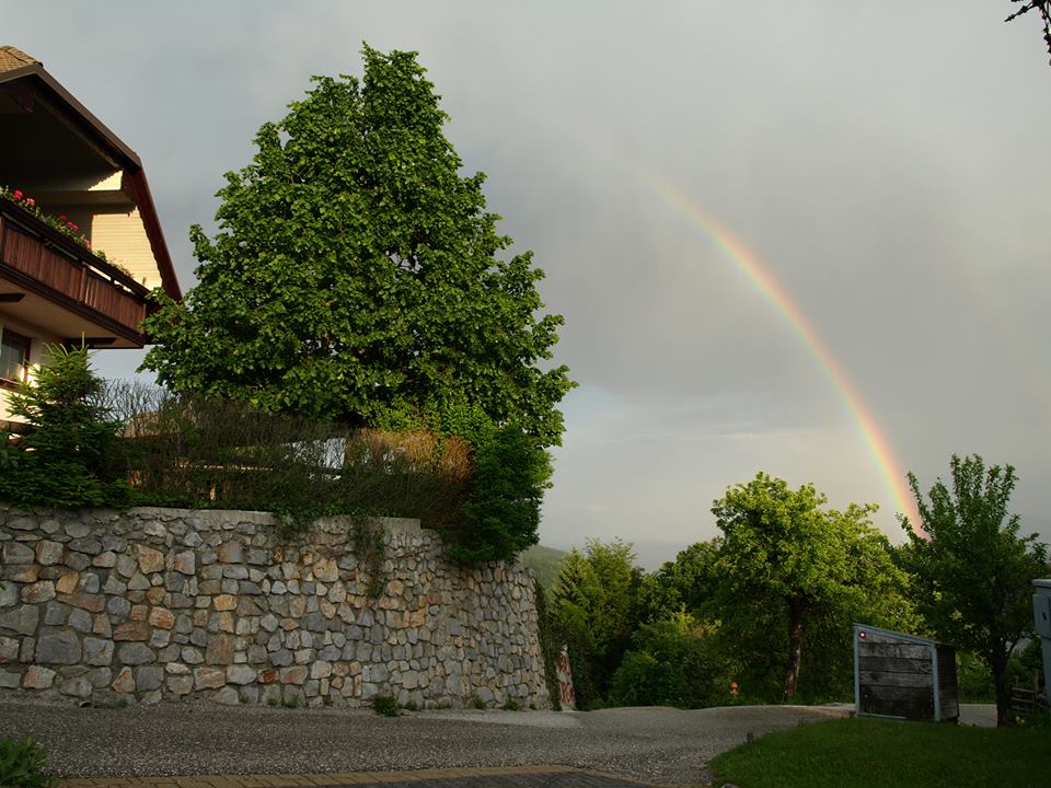 Didi poslovne, gostinske in turistične storitve d.o.o.