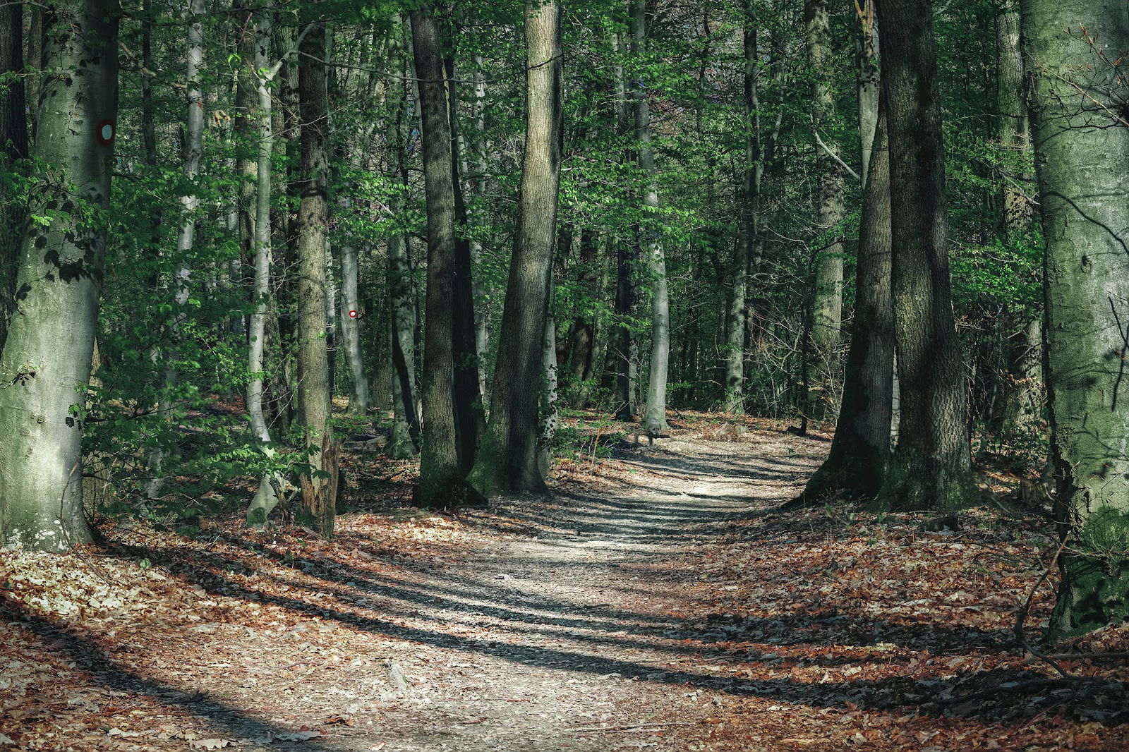Planinarska staza - HPD Zaprešić