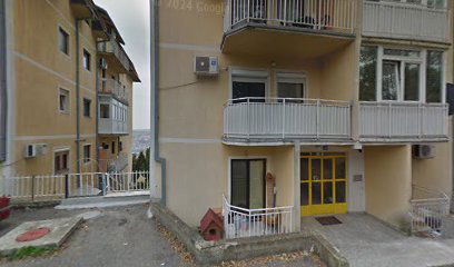 Advokat Jelena Živković