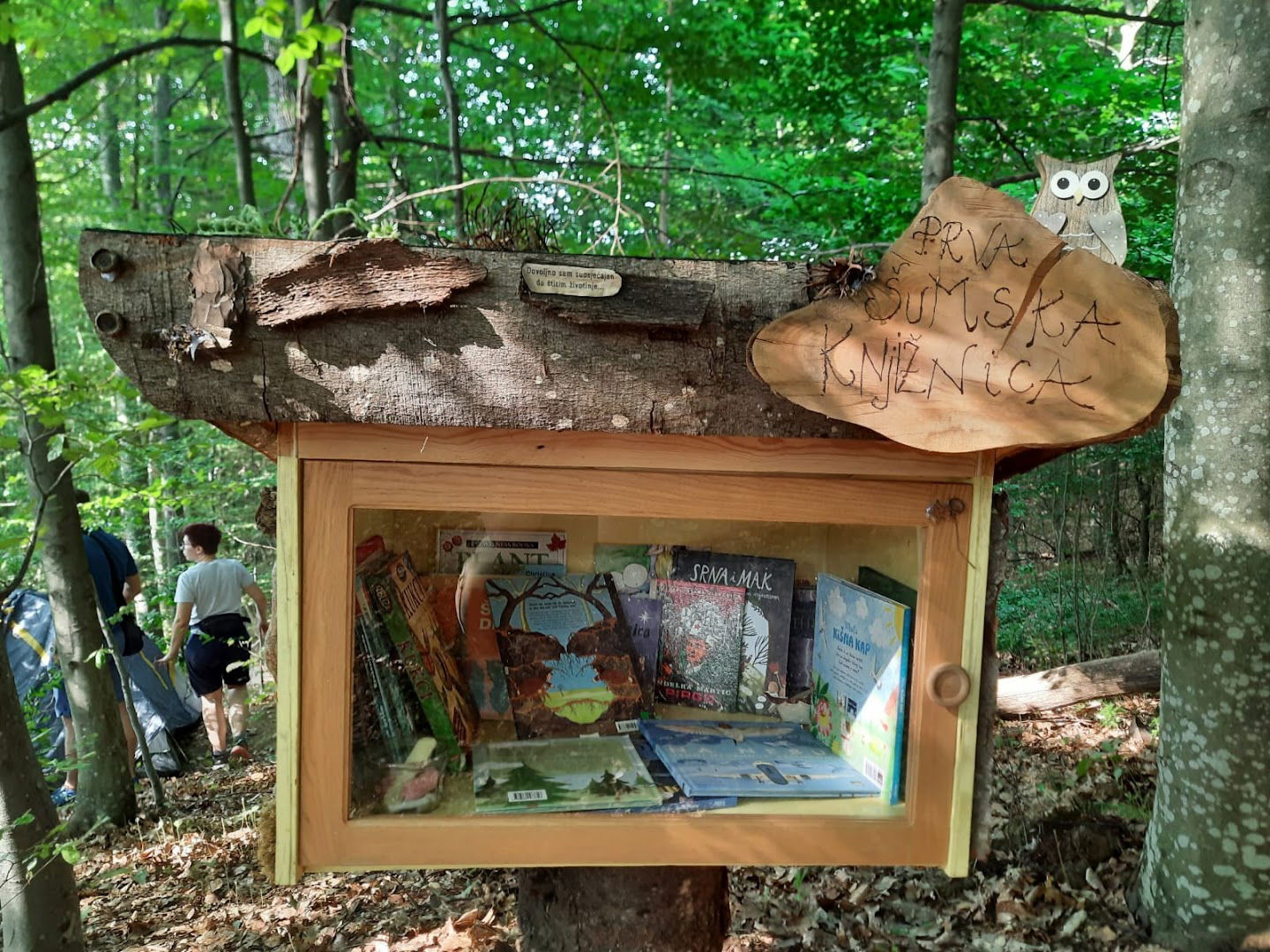 Čudesna šuma STREAM