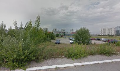 Cargo Special Logistic