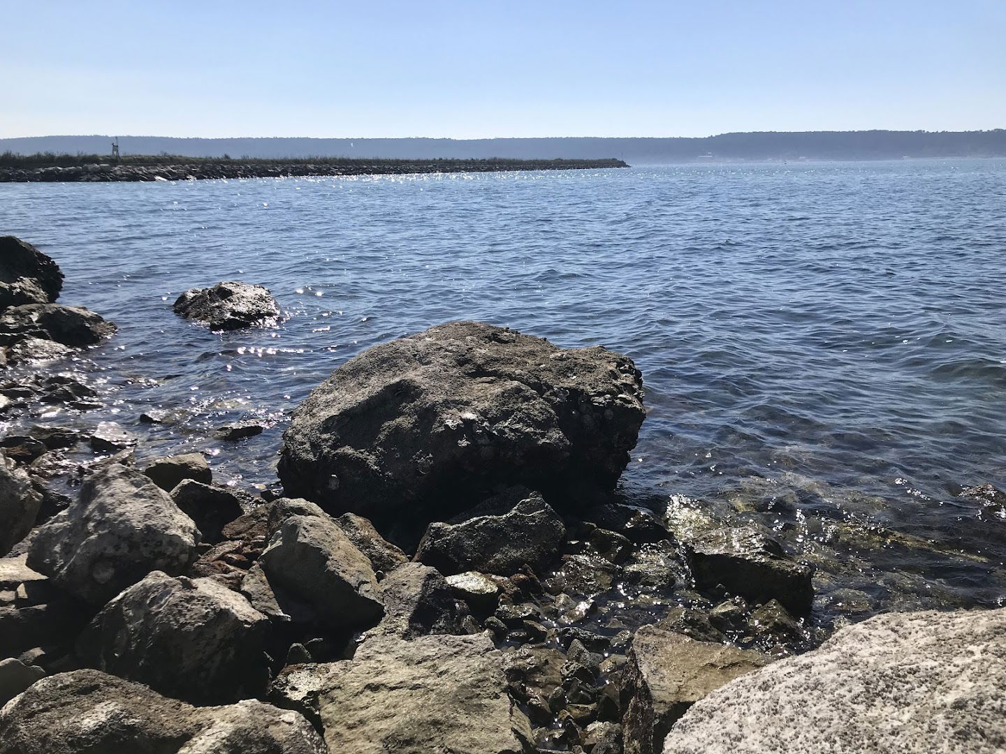 Fonda fish farms, Seca