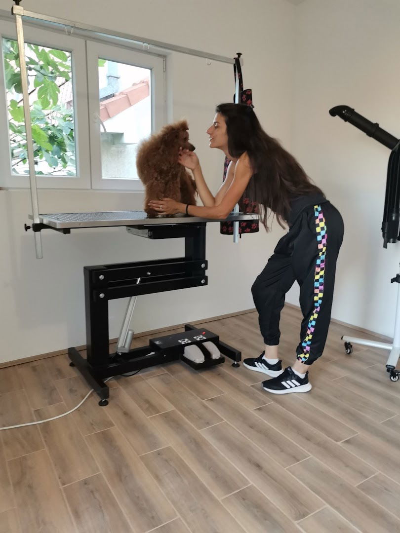 Sisanje pasa Kaluđerica - Roxy Groom