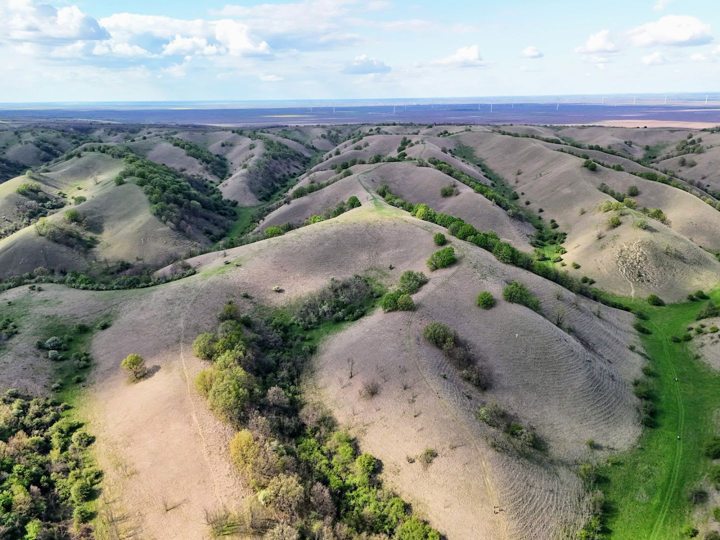 Deliblatska Peščara