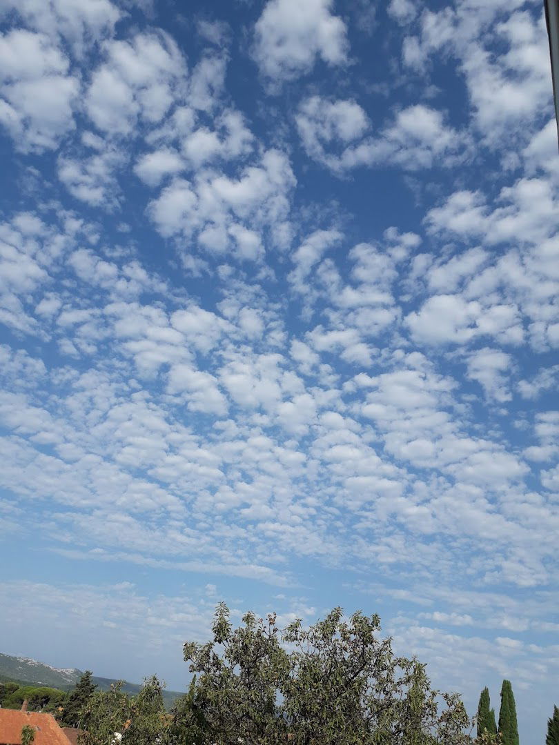 Apartmani Grubišić