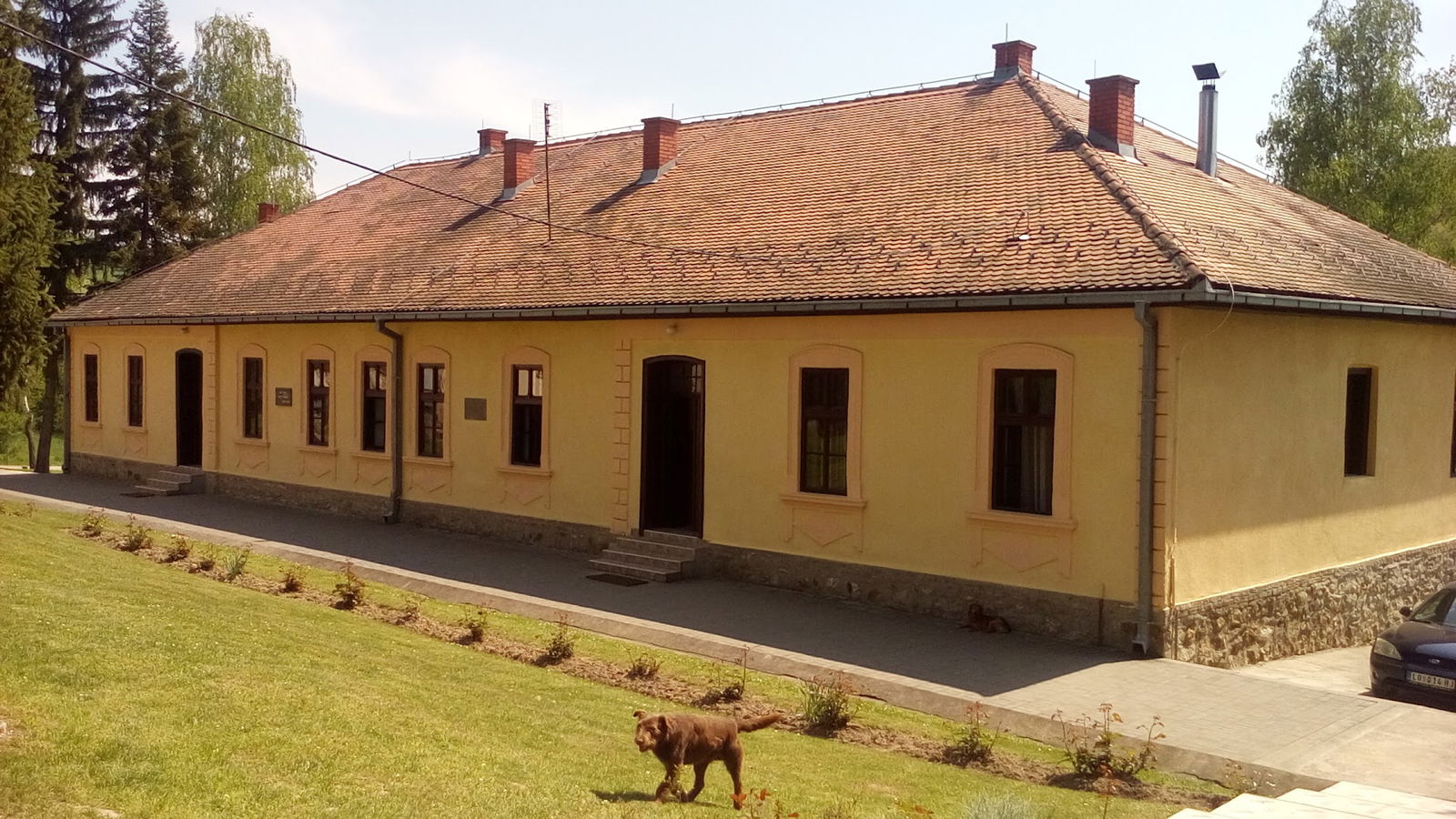 О.Ш. Степа Степановић - Текериш