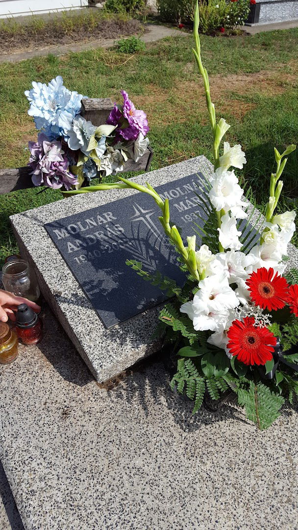 Groblje Aleksandrovo