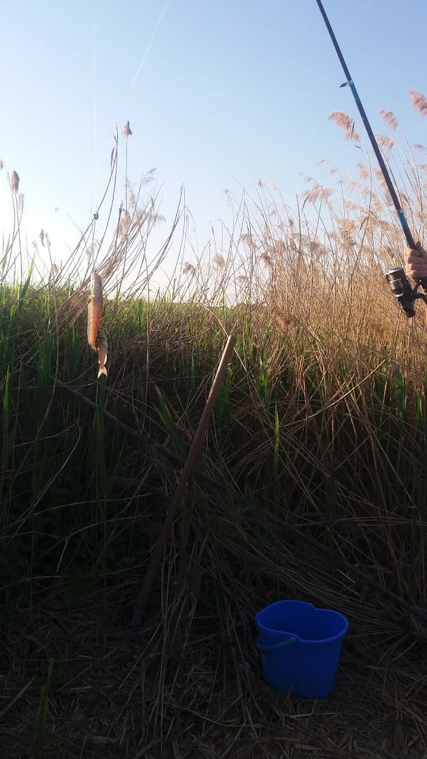 La Vaccaria di Ca Cottoni