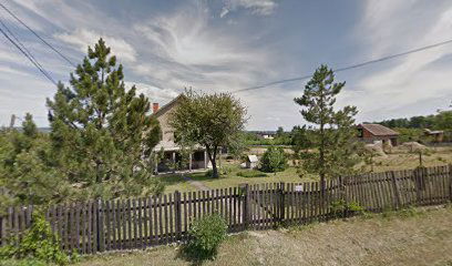 Ljubivoja Mihailovića