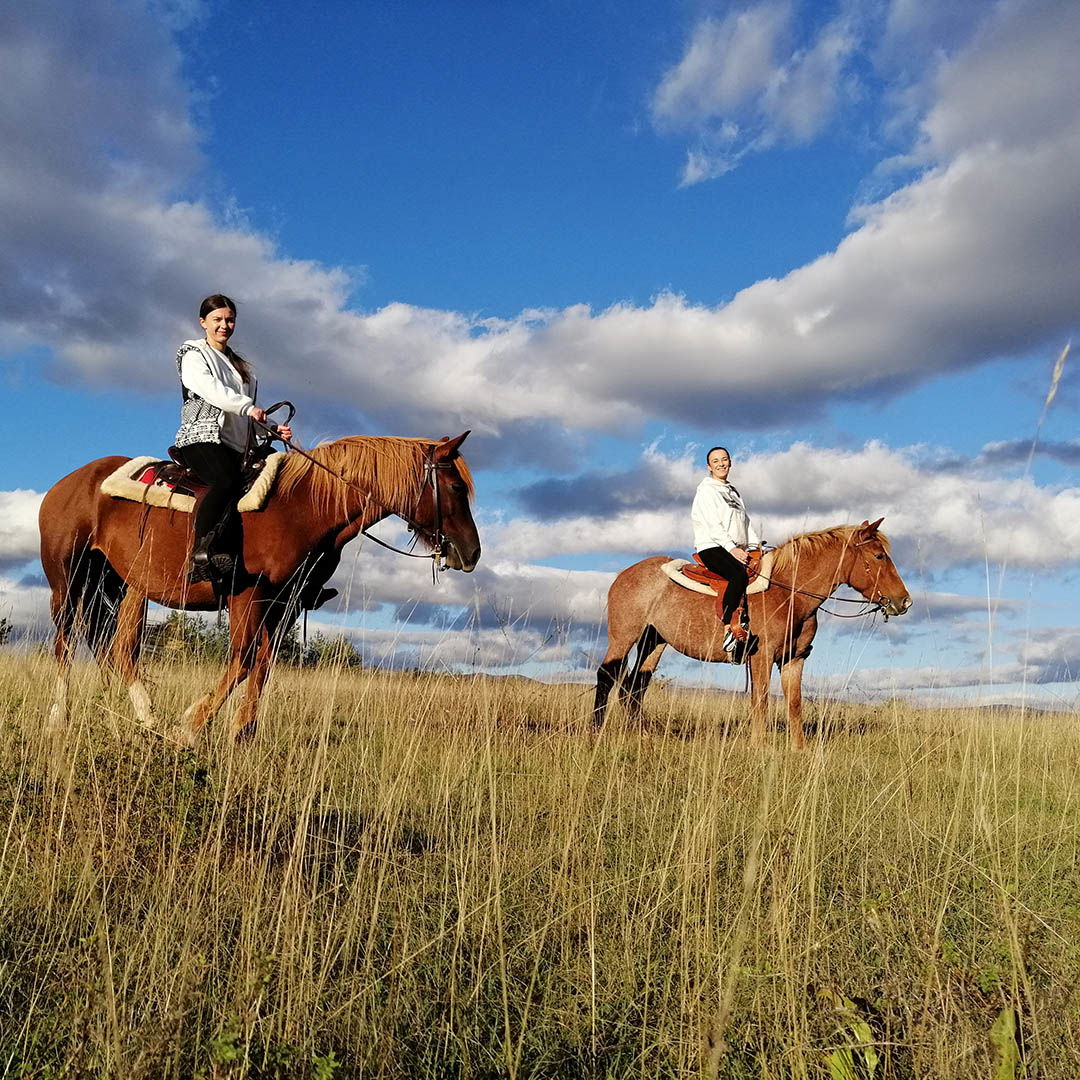 Livno Horse Riding - Konjički klub Livno