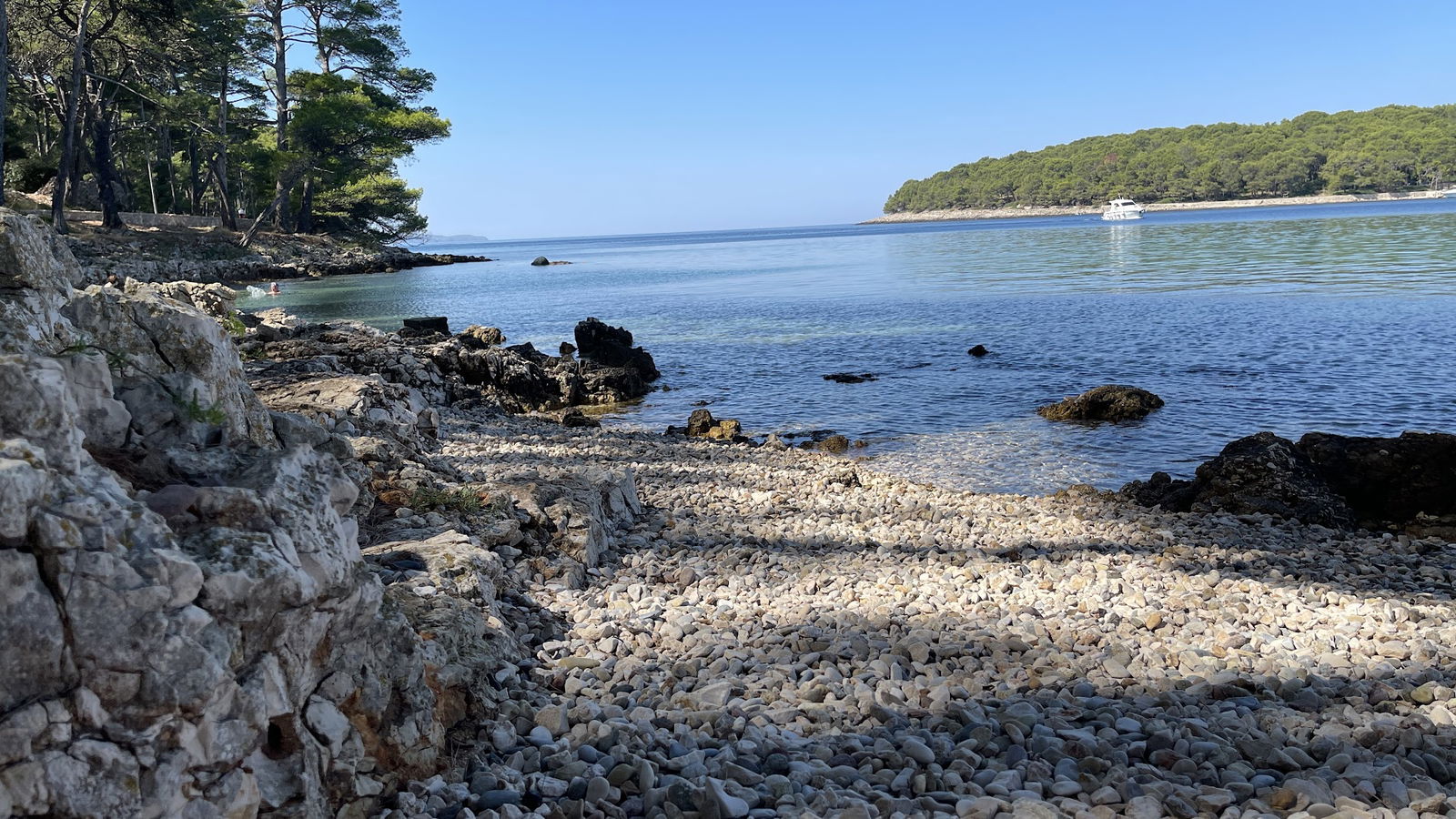 Čikat Dog Beach - Plaža za pse