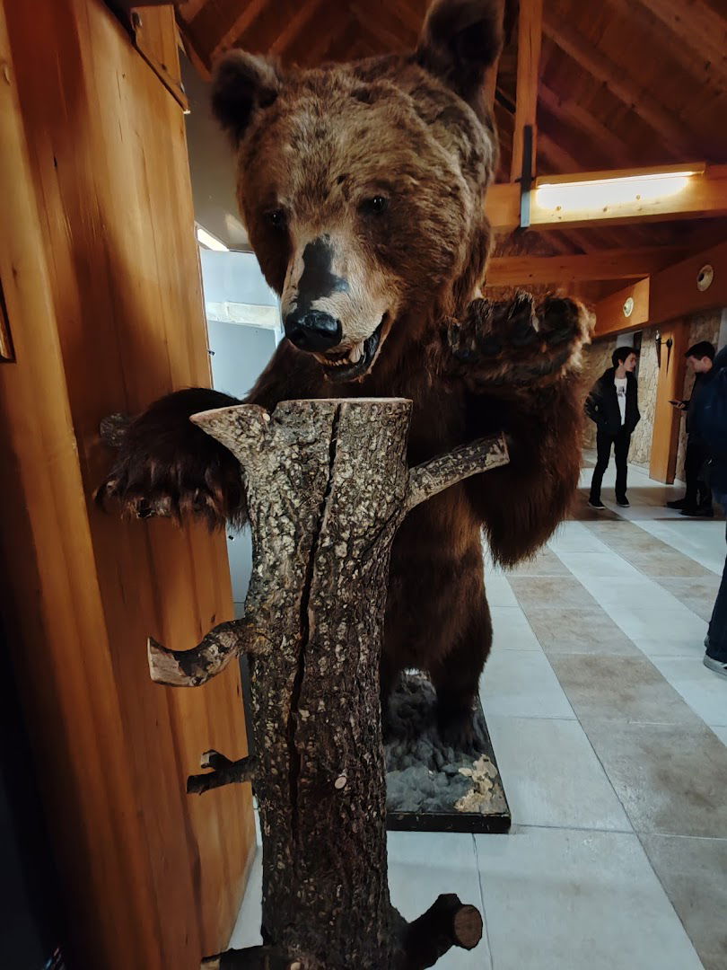 Odmorište Zir - Istok