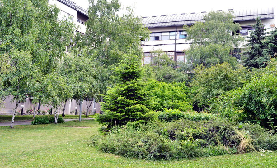 Institute for Biological Research "Siniša Stanković" - National Institute of Republic of Serbia, University of Belgrade