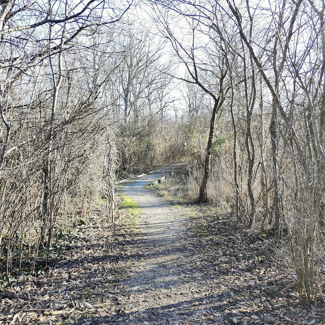 Osservatorio coperto