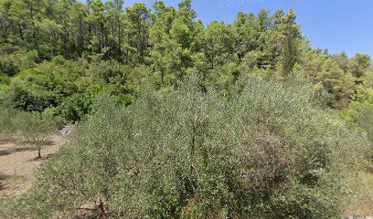 Luxury villa Korcula Beach Divine by the sea