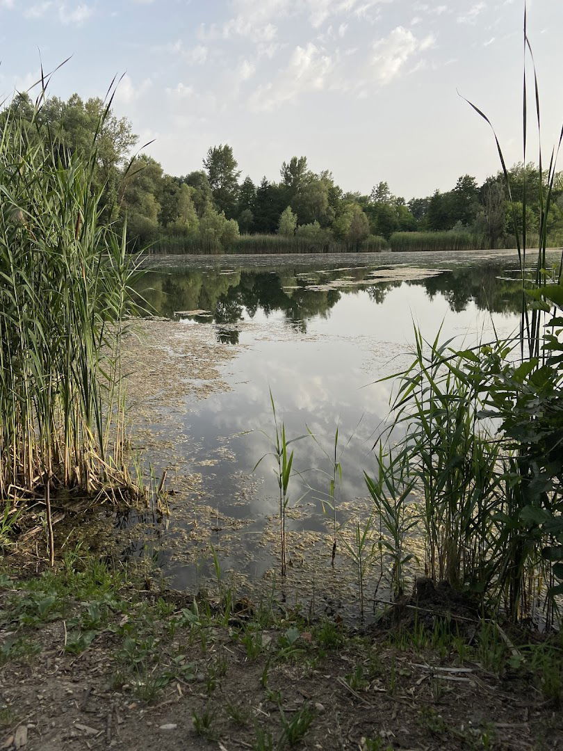 Gramoznica "5 dinarka"