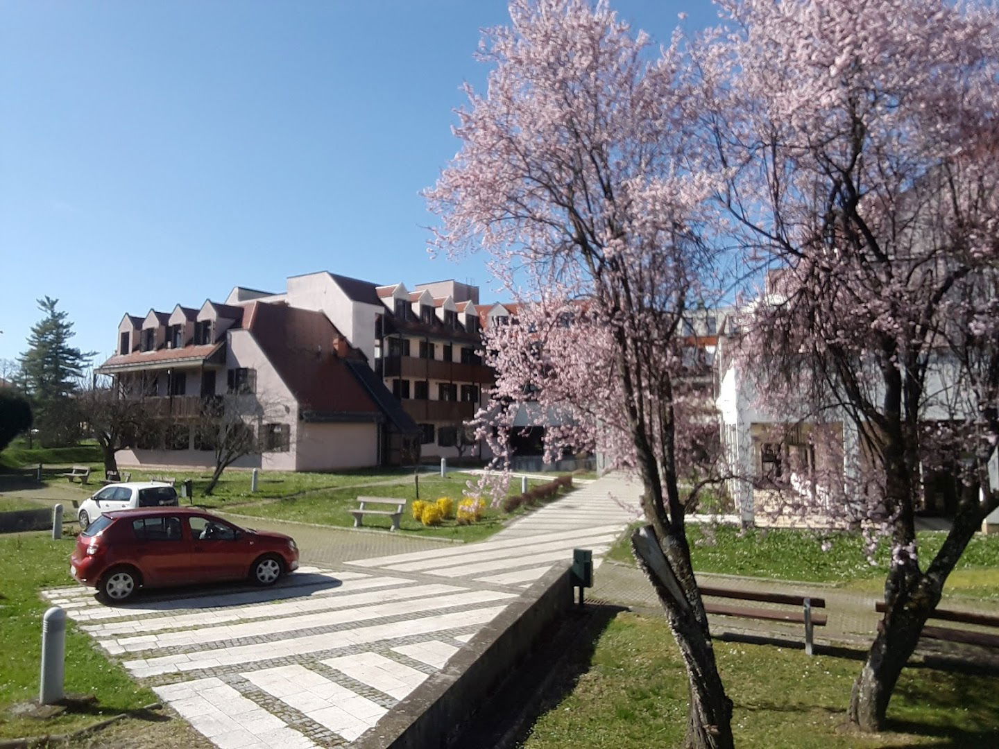 Home for the elderly and infirm St. antun