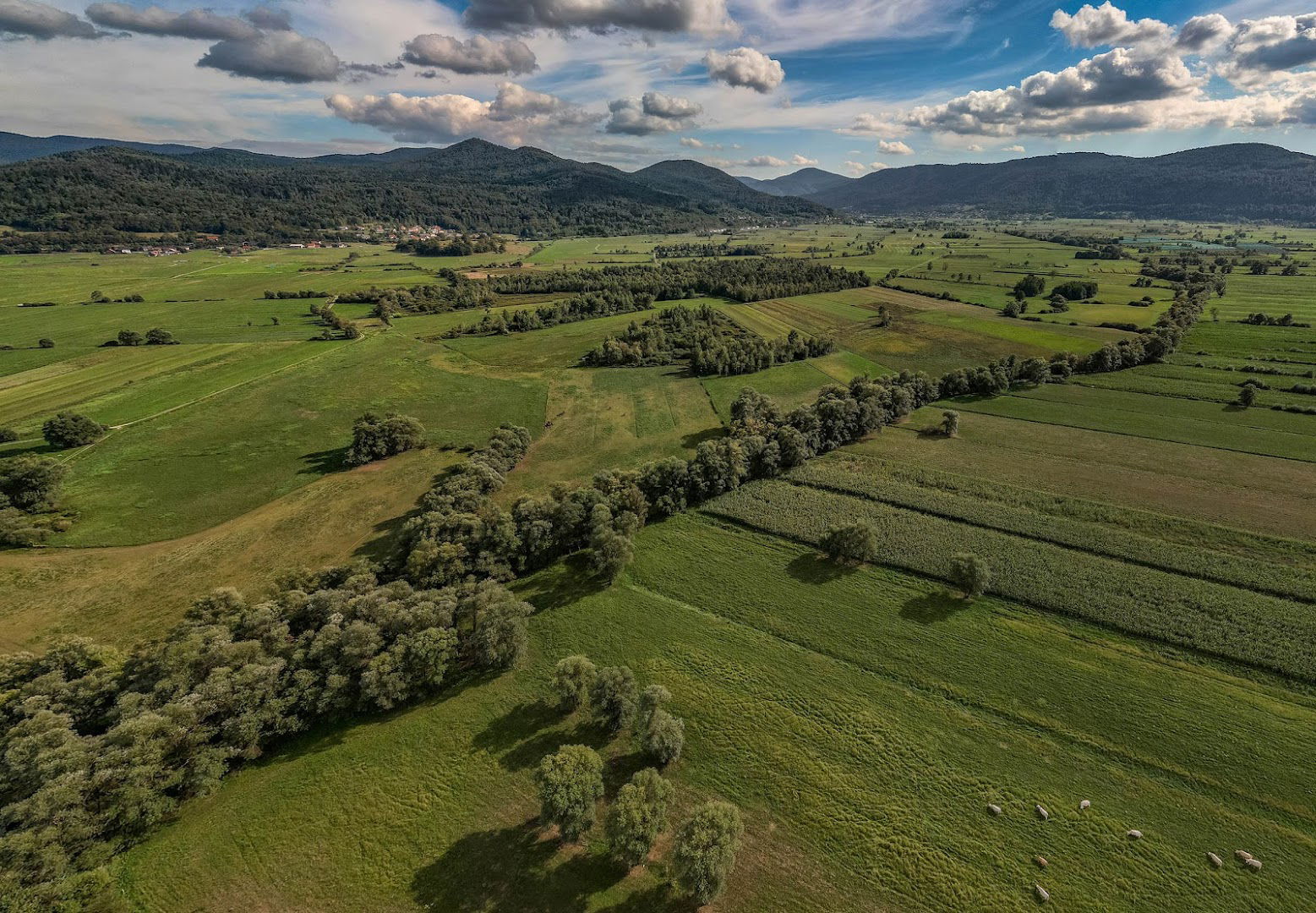 Spodnji tok Borovniščice