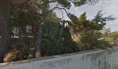 Apartments A.Žižić 4