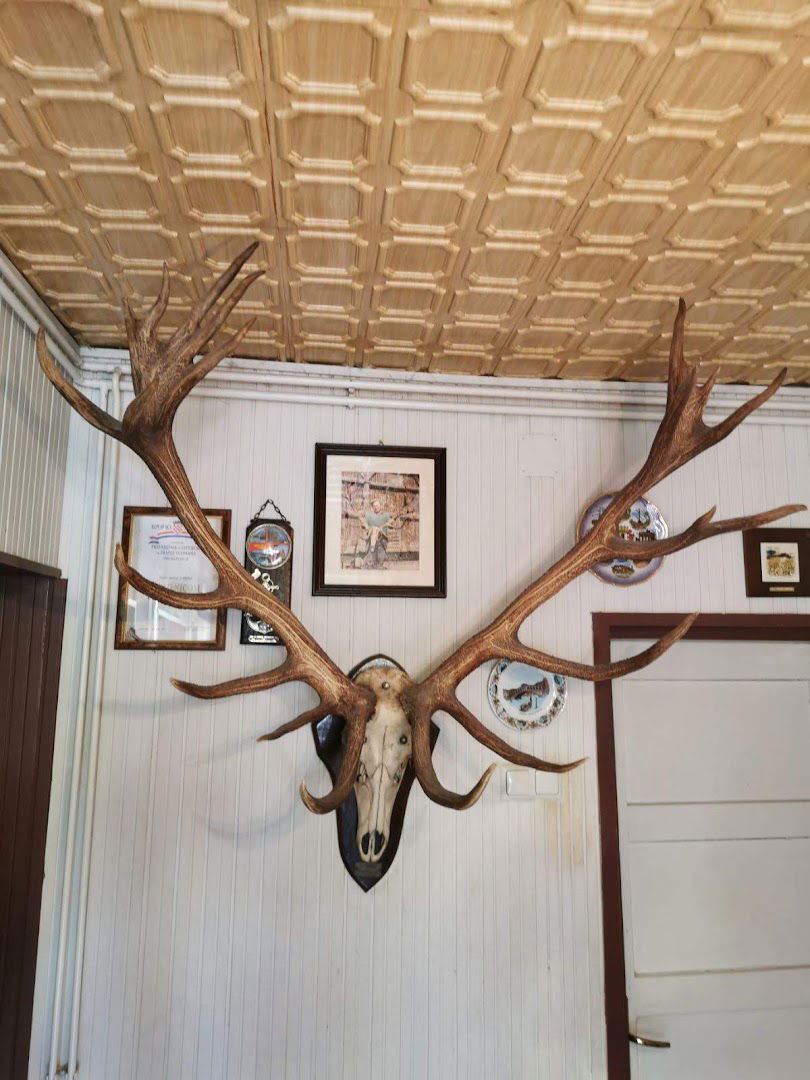 AUTOTRANSPORTI MAJNIĆ, MARIJAN MAJNIĆ