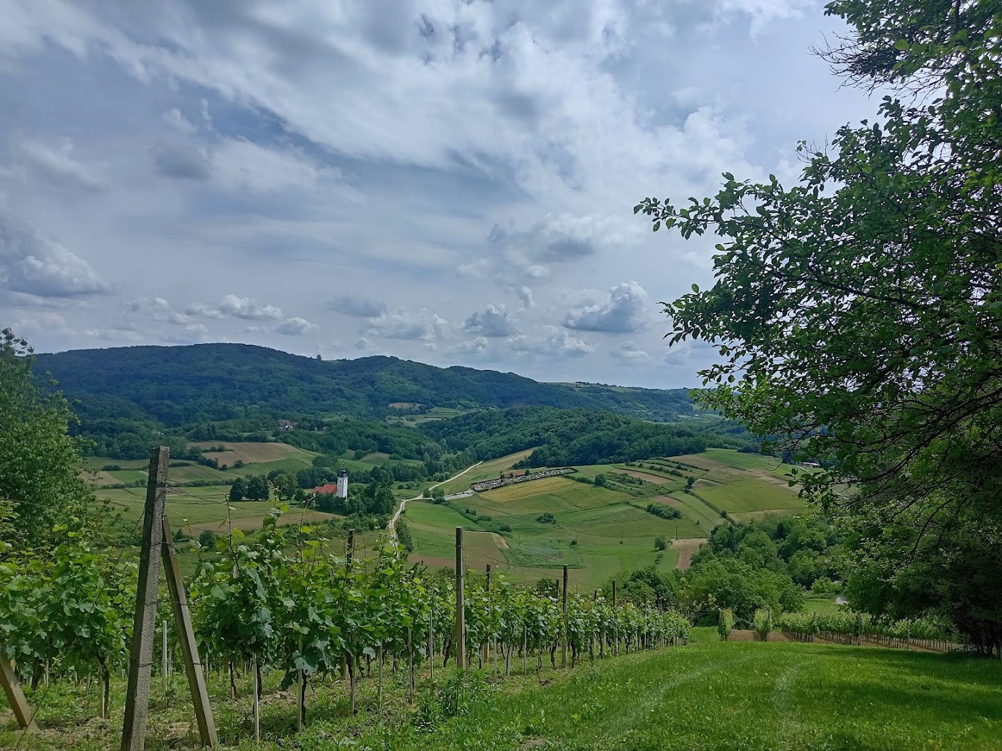 PRIMARY SCHOOL Vladimir Nazor