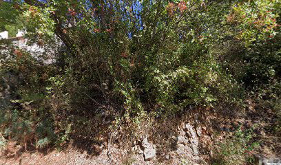 Church of St. Thomas