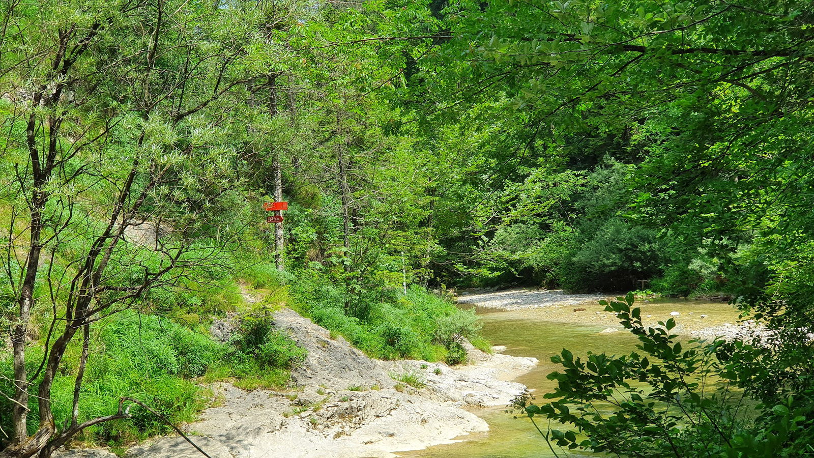Sotočje Iške in Zale-Vrbica